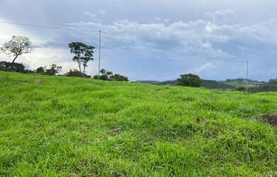 Imagem 11: Fazendinha em Itatiaiuçu - 12 Hectares - Rica em água