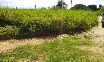 Imagem 6: Terreno na praia de Enseada dos Corais