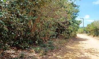 Imagem 3: TERRENO À VENDA NA PRAIA DA PIPA