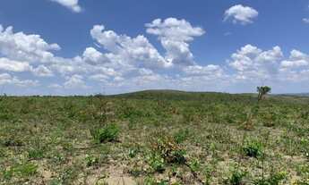 Imagem 3: Oportunidade! Vende-se um fazenda de 166 Alqueires