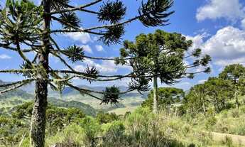 Imagem 7: Chácara em Urubici