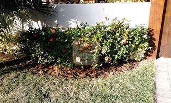 Imagem 4: Rio de Janeiro - Casa em Condomínio - Jacarepaguá