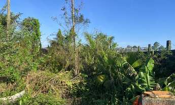 Imagem 3: TERRENO RESIDENCIAL em GARUVA - SC, Centro