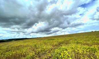 Imagem 7: Excelente Fazenda - Anápolis (GO