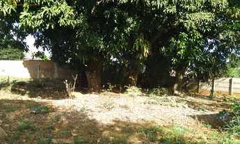 Imagem 3: EXCELENTE TERRENO 1661 M² NA AVENIDA BRASIL