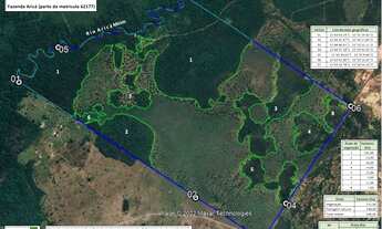 Imagem 3: Fazenda com 500,00 hec BR 364/163 25 km de Cuiabá
