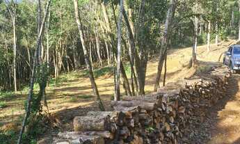 Imagem 2: Oportunidade única. 20.000m2 348.520