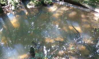 Imagem: Ótima área de 109 000 m² com escritura