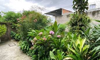 Imagem 5: Juiz de Fora - Casa Padrão - Democrata