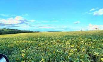 Imagem 4: Excelente Fazenda - Anápolis (GO