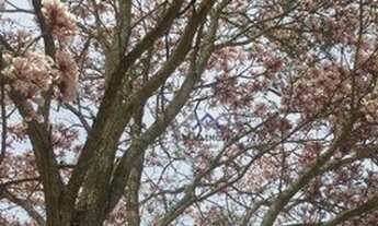 Imagem 3: Chácara de 4.628 m² em Pilar do Sul/Oportunidade