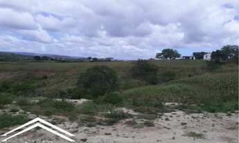 Imagem 3: Fazenda em Gravatá com 11.7 hectares