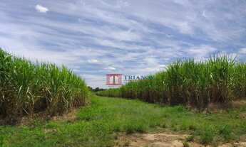 Imagem: Sitio no Bairro Chicó
