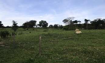 Imagem 11: Sítio 5 alqueires Petrolina de Goiás ( chácara