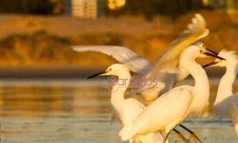 Imagem 2: Terreno em Imbé com parcelamento direto