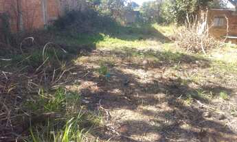 Imagem: Terreno grande 30x11