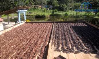 Imagem 7: Itajuípe - Fazenda