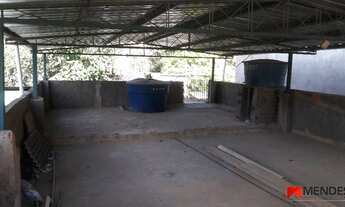 Imagem 7: Chácara - Casa Padrão - Centro