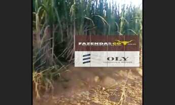 Imagem 7: OPORTUNIDADE ! Fazenda Extra - Município de Itapuranga - 30 Alqueires !