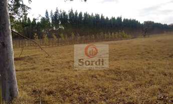 Imagem 10: Sítio à venda, 491000 m² por R$ 4.000.000,00 - Zona Rural - Ribeirão Bonito/SP