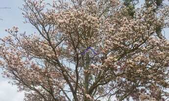 Imagem 2: Chácara de 4.628 m² em Pilar do Sul/Oportunidade