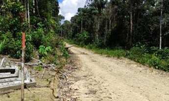 Imagem 4: Terreno 20x50m Promocional