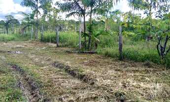 Imagem 4: Vendo propriedade rural