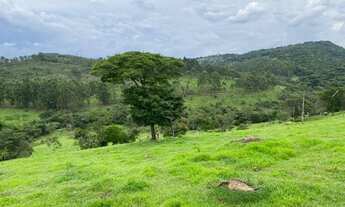Imagem 4: Fazendinha em Itatiaiuçu - 12 Hectares - Rica em água