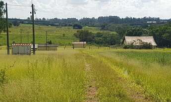 Imagem 5: Granja em terreno de 55.000 m2, com 02 casas e barracão - Quadra - SP