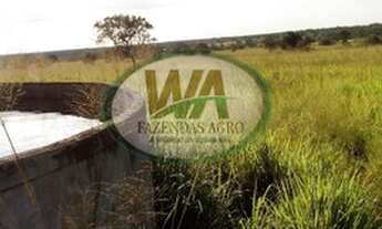 Imagem 2: Fazenda localizada entre Lagoa da confusão e Cristalândia-TO