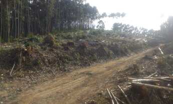 Imagem 3: Lotes em Salesópolis - SP