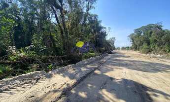 Imagem 3: Terreno para Venda, Matinhos / PR