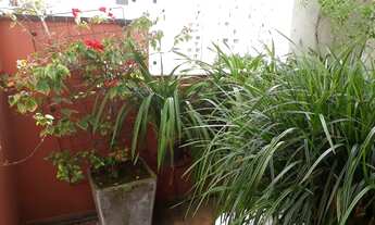 Imagem 6: SãO PAULO - Apartamento Padrão - Moema