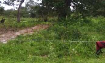 Imagem 3: Vendo terreno na barreira