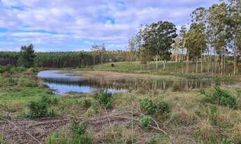 Imagem 6: Chácara em Triunfo