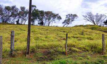 Imagem 2: Sitio em são sebastião do paraiso 7 alqueires 1.500.000.00 ( edis