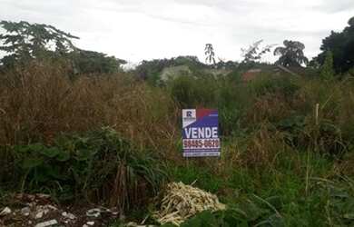 Imagem 2: Lote Vila Delfiori