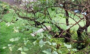 Imagem 7: Apartamento com 3 dormitórios à venda, 206 m² por R$ 1.450.000 - Perdizes - São Paulo/SP