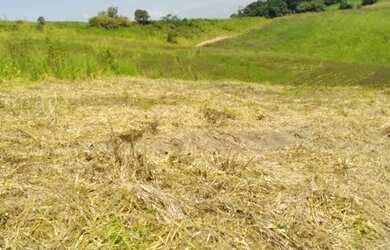 Imagem 3: VENHA TER O SEU TERRENO DOS SONHOS AQUI!