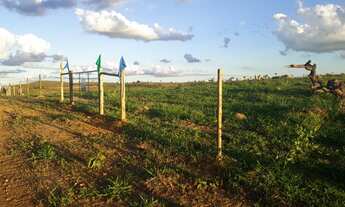 Imagem 2: FAZENDINHAS com a frente cercada e porteira