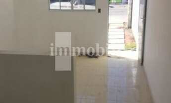 Imagem 4: FLORES DO AGUASSAI