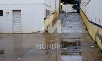 Imagem 3: Salão/Galpão (salão - térreo