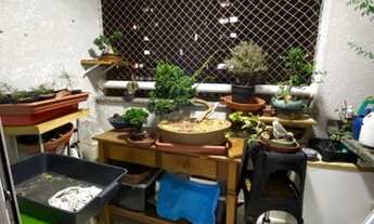 Imagem 5: Apartamento em Jardim Pedroso - Mauá