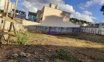 Imagem 7: 3 LOTES JUNTOS NO BAIRRO SARAMENHA