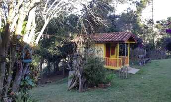 Imagem 6: BORDA DA MATA - Sítio - Serrinha