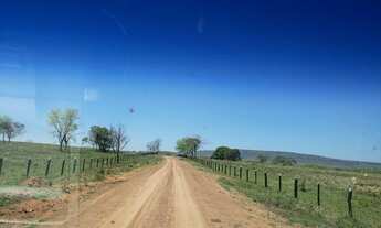 Imagem 3: Fazenda 2.427 hectares 71 km da Br 262