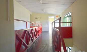 Imagem 3: Galpão, Parque São George - Cotia