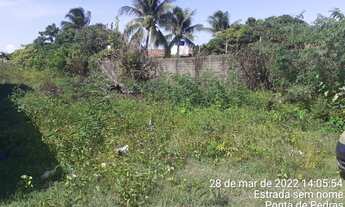 Imagem 4: Ws- Terreno plano em Pontas de Pedras | em Rua Calçada