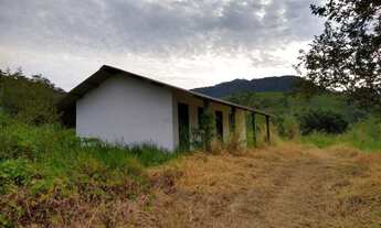 Imagem 4: SILVA JARDIM PROPRIEDADE PARA ALTA CRIAÇÃO DE PEIXES EM GRANDE ESCALA