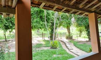 Imagem 5: Fazenda para venda tem 250 ha de solo virgem!!! Divisa de Matheus Leme e Juatuba